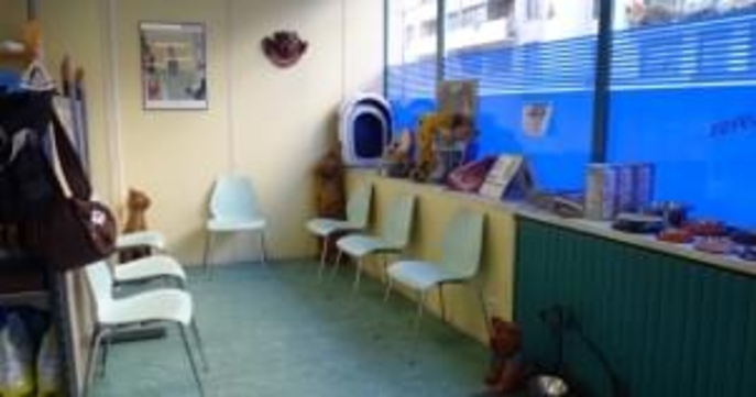 Clinique Vétérinaire Du Dr Le Bail Laure