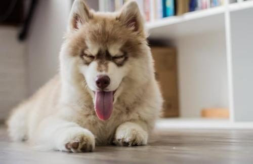 CC0 Public Domain via Pexels